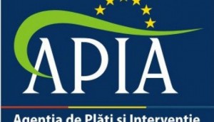 apia-1367921798